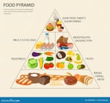 food-pyramid-healthy-eating-infographic-healthy-lifestyle-icons-products-vector-illustration-74620351