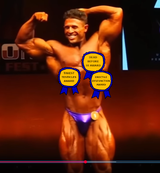 bodybuilder_awards