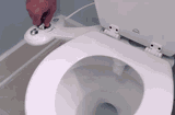 bidet-toilet