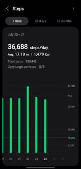 Screenshot_20250724_172745_Samsung Health