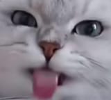 Cet