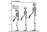 cro-magnon_edited-1-1024x708