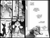 IWS 24