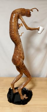 MIBworm3