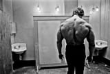 arnold back dumb noise reduction