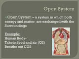 Open+System+Open+System+–+a+system+in+which+both