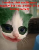 Thread 76426188 OP Image