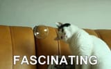 4747569+_84d8c4caeeb6147665b270ae523e9f3a