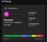 Screenshot_20250801_130039_Garmin Connect