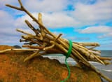 bundle-of-driftwood-sticks-bound-with-green-nylon-chord-northam-burrows-1-pward-2011[1]
