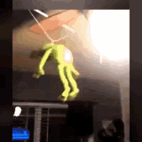 kermit