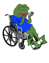 wheelchair-pepe