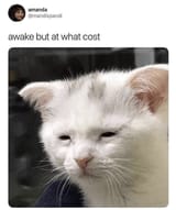 awake_but_at_what_cost
