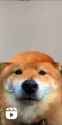 1726353589770763_thumb.jpg