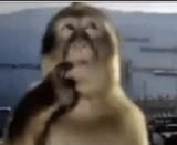 1747353415827709