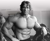Arnold-360361404