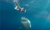 Woman-escape-shark-header