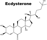 ecdysterone