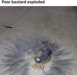 1746668103461290