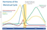 Hormones-of-the-Menstrual-Cycle-3449747059