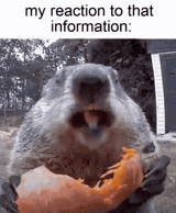 1729396270400717