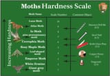 MothHardness