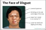face of disgust