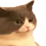 1626024291316