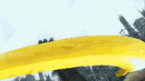 banana