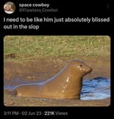 blissed out in the slop