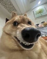 1750692714227246