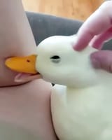 1744476518493225