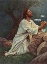1705265915075741