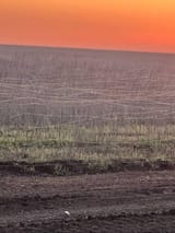 field-in-ukraine-covered-with-fiber-optic-cables-from-fpv-v0-2nq8l0qlm44f1