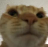 1753436878207833