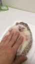 1749729530034_thumb.jpg