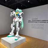 1724815299162794
