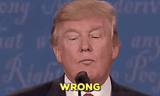 trump_wrong-480x287