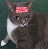 1730994034011377