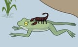 Scorpion_and_the_frog_kurzon