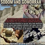 1721784157692