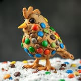 cookie birb 3