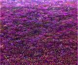 ComfyUI_28423_