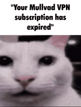 1749825658980246