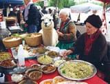 deaf_ch34_00021_