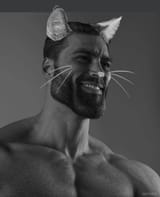 cat_ears