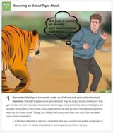 tigers
