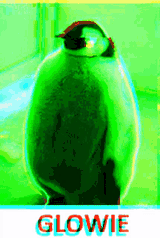 glowie-penguin