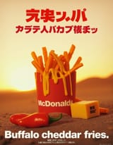 BSI_SEK_MCD_6