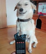 1730851127430598